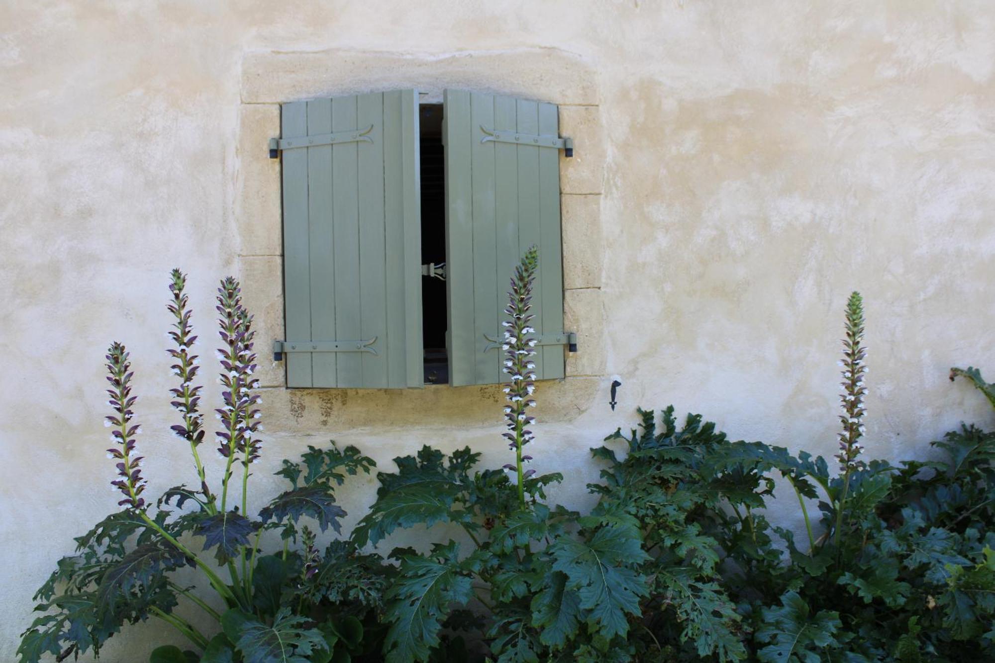 Ecogite Rural La Cle Des Champs Peyrelongue-Abos Rum bild