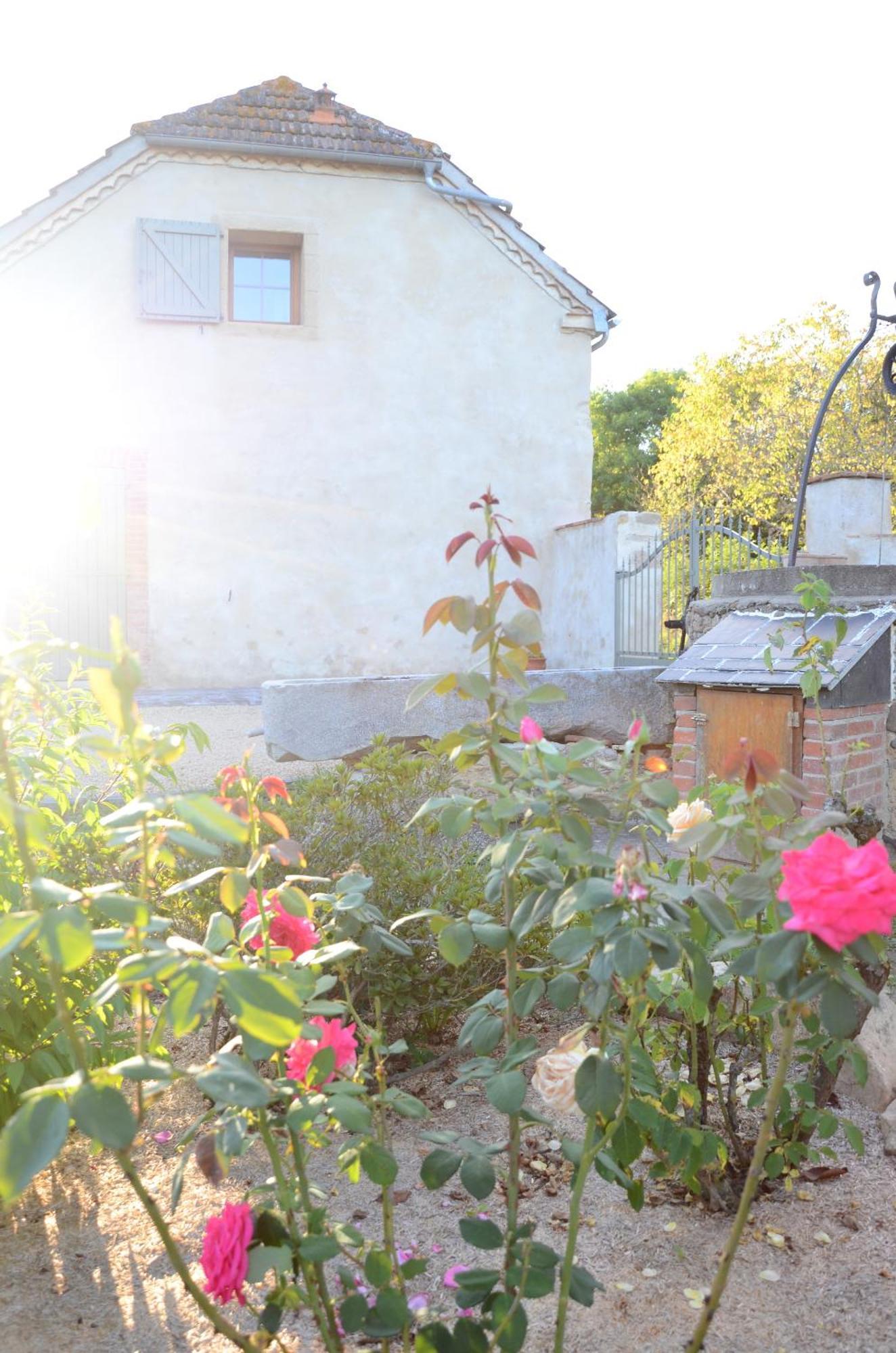 Ecogite Rural La Cle Des Champs Peyrelongue-Abos Rum bild