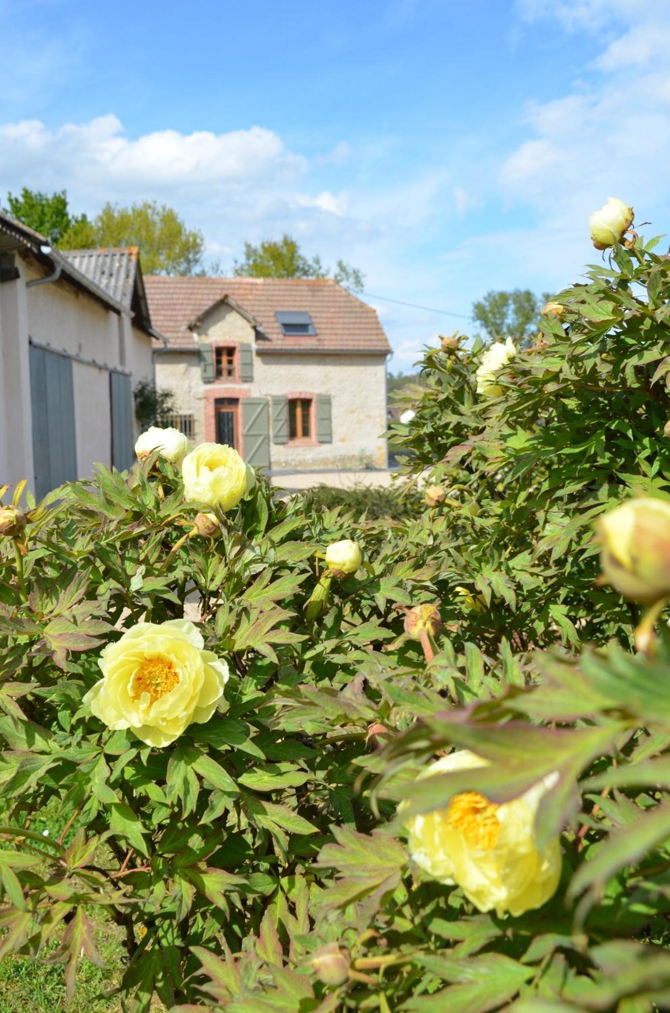 Ecogite Rural La Cle Des Champs Peyrelongue-Abos Exteriör bild