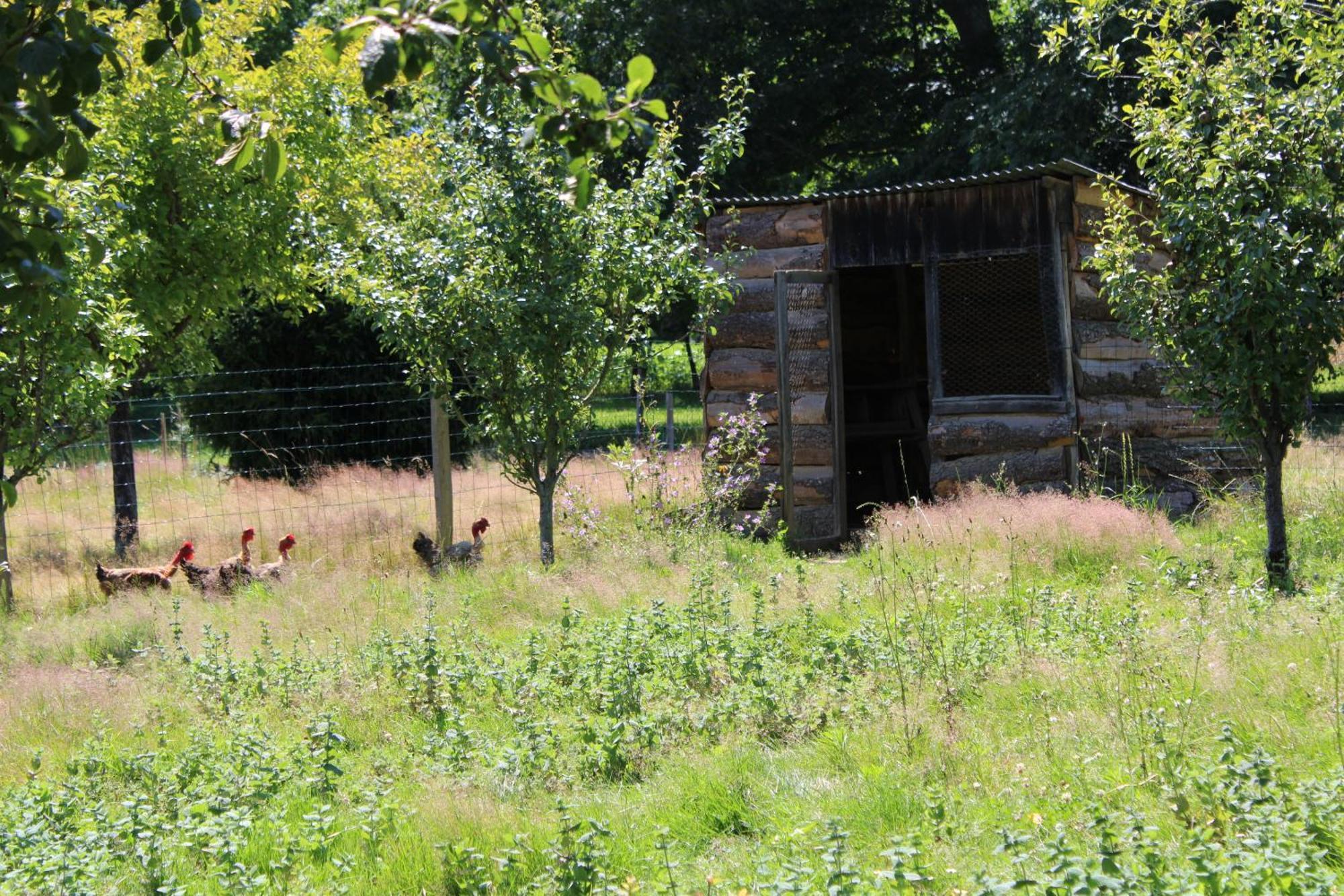 Ecogite Rural La Cle Des Champs Peyrelongue-Abos Rum bild